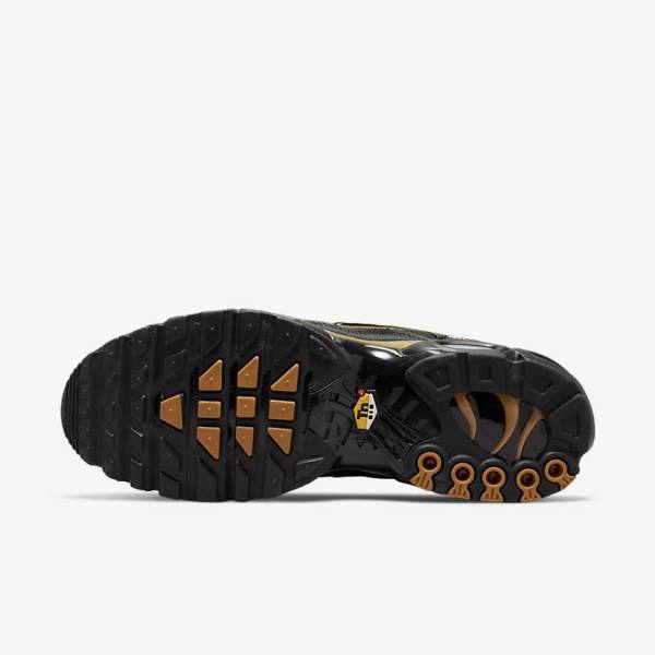 Black / Brown / Gold Nike Air Max Plus Men's Sneakers | NK035GBC