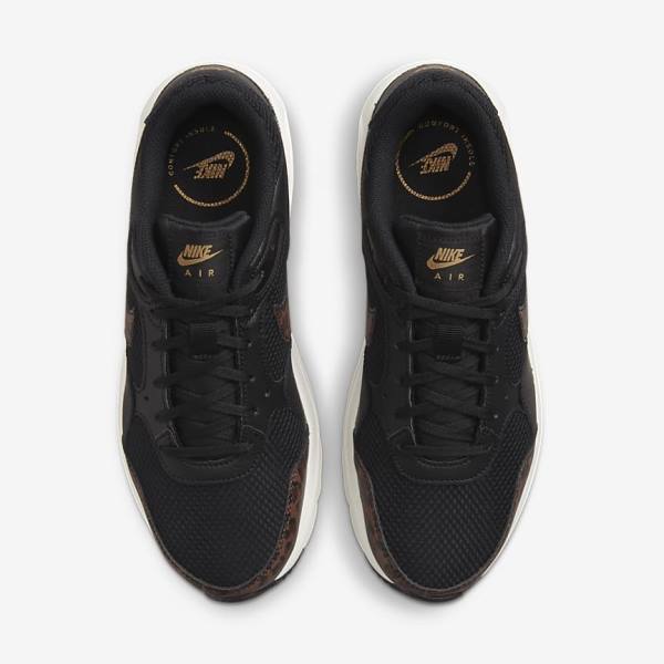 Black / Metal Gold / Brown Nike Air Max SC Women's Sneakers | NK657MJQ