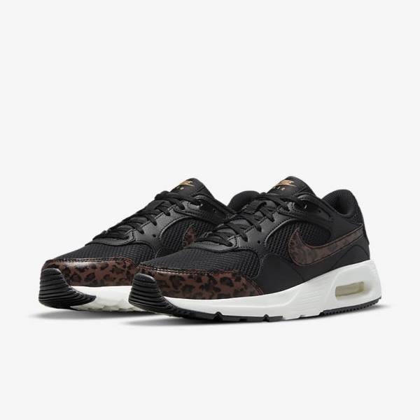 Black / Metal Gold / Brown Nike Air Max SC Women's Sneakers | NK657MJQ