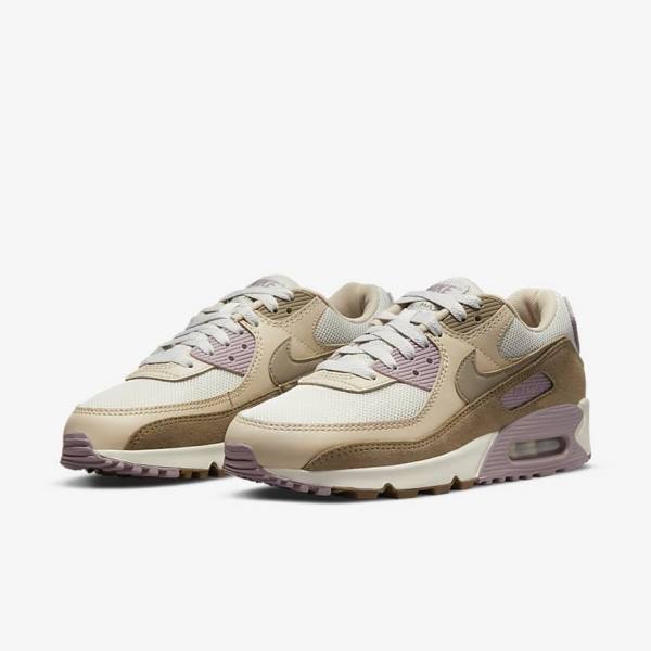 Brown / Light Purple / Khaki Nike Air Max 90 Women's Sneakers | NK948GAX