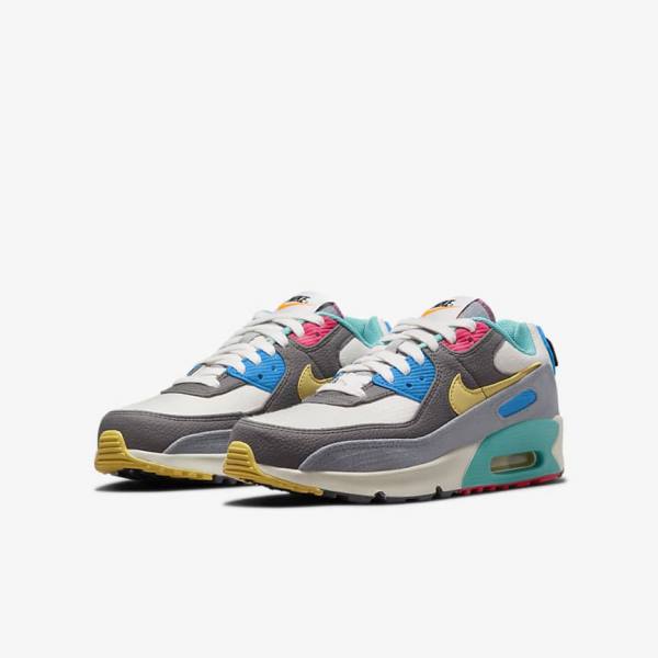 Grey / Pink Nike Air Max 90 Older Kids' Sneakers | NK571FQB