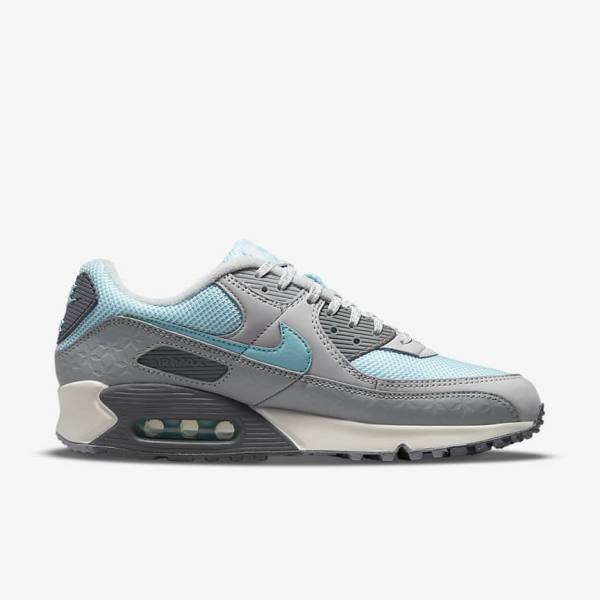 Grey / Platinum Nike Air Max 90 Men's Sneakers | NK375EPL