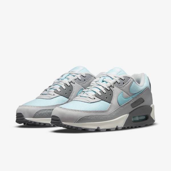 Grey / Platinum Nike Air Max 90 Men's Sneakers | NK375EPL