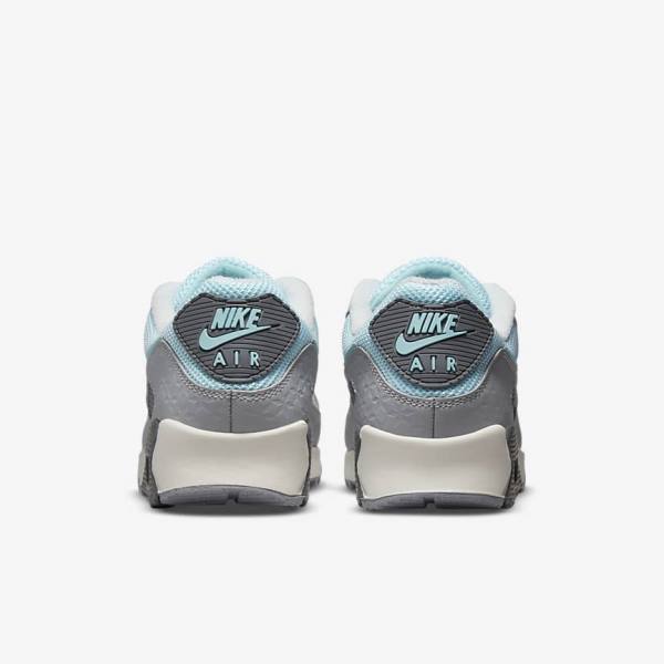 Grey / Platinum Nike Air Max 90 Men's Sneakers | NK375EPL