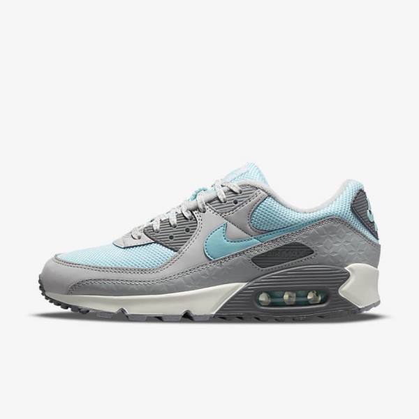 Grey / Platinum Nike Air Max 90 Men\'s Sneakers | NK375EPL