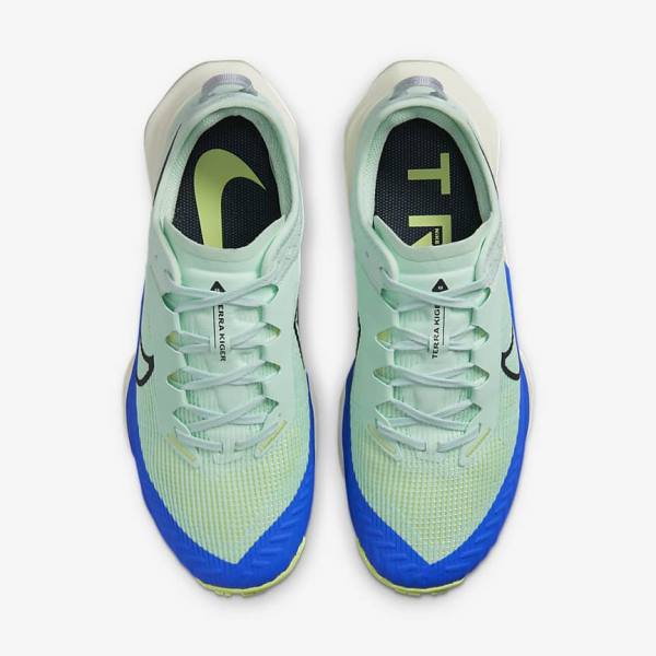 Mint / Grey / Blue Nike Air Zoom Terra Kiger 8 Trail Women's Running Shoes | NK931ZOU