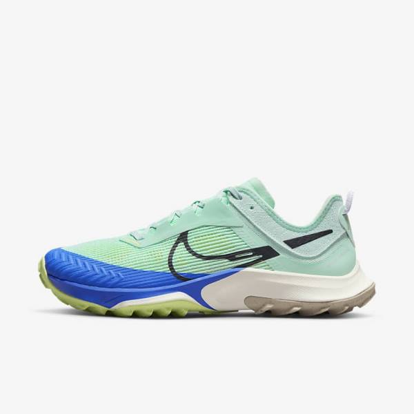 Mint / Grey / Blue Nike Air Zoom Terra Kiger 8 Trail Women\'s Running Shoes | NK931ZOU