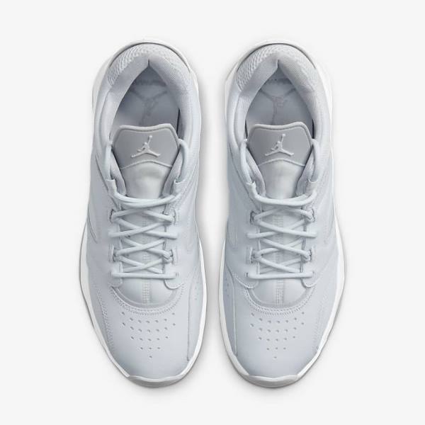 Platinum / White / Grey Nike Jordan Point Lane Men's Sneakers | NK960UEQ