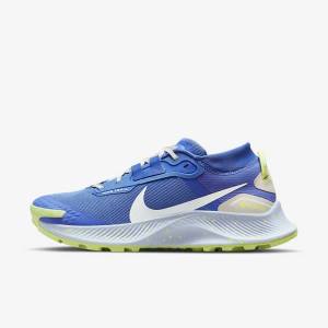 Blue / Brown / Grey Nike Pegasus Trail 3 GORE-TEX Waterproof Trail Women's Running Shoes | NK758NKS