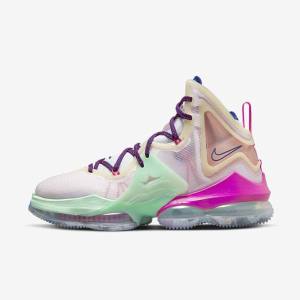 Blue / Light Green / White / Burgundy Nike LeBron 19 Women's Basketball Shoes | NK347WMG