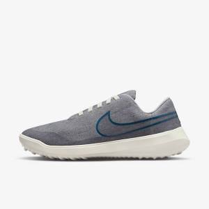 Grey Nike Victory G Lite NN Men's Golf Shoes | NK135FWY